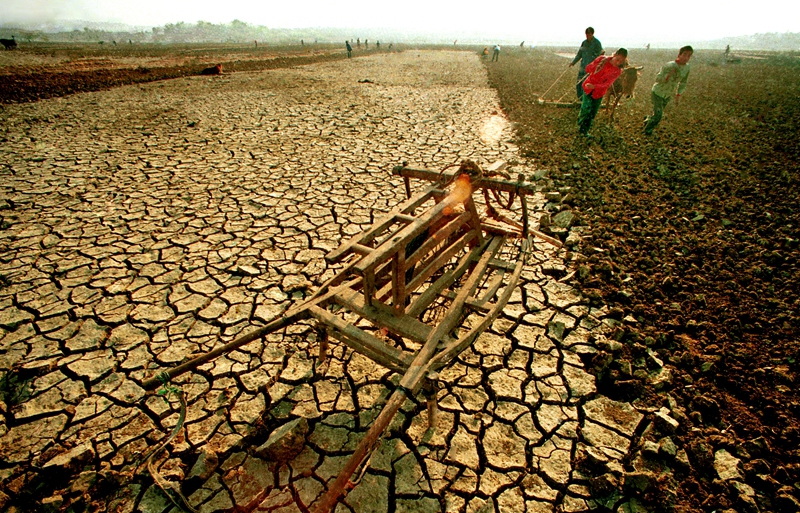 4������?f��n)��?991��10�£��R������������(y��n)�ظɺ����ڄڵ��υ^(q��)���񲻵Ȳ�����