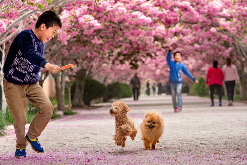 4 �ѻ�����--2016��4�£��R���媴�ęѻ���������ӂ��͌��ﹷ���_�ĵ���ˣ��---�����A.jpg