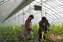 5 �����޽����ЙC�߲˴��Ŀǰ���x�����ČW���ߝ��������M���ճ���������.jpg