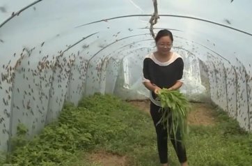 90���l�����d�����T�������ڄڡ��ơ����¸�·