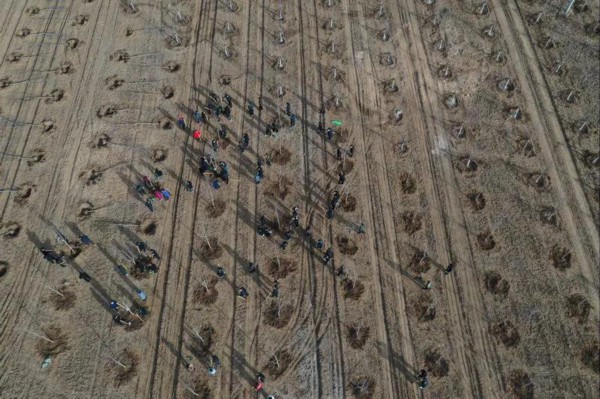 ��3��12����־Ը���ںӱ�ʡ�ȷ��д�S�������οh�۸�����m�V��ֲ�䣨�o�˙C��Ƭ�������A��l������ �z��