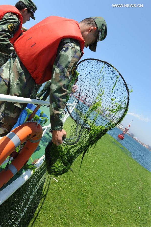 CHINA-SHANDONG-QINGDAO-GREEN ALGAE (CN)