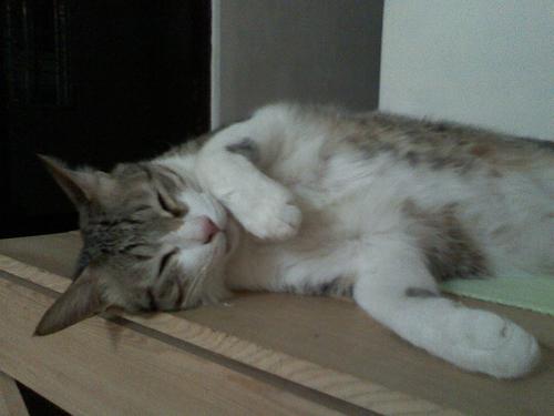 施奈德鏡頭LG金屬滑蓋機KG70拍照實測(6)