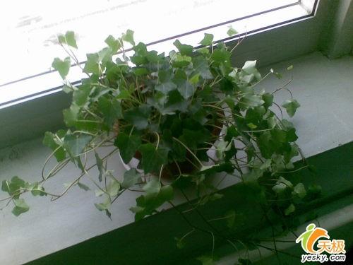 超薄時尚諾基亞鏡面翻蓋智能N76評測(6)