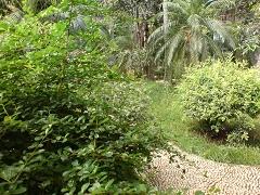 拍照較量諾基亞N73與索愛K810對比(7)