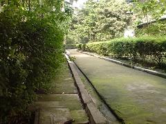 拍照較量諾基亞N73與索愛K810對比(7)