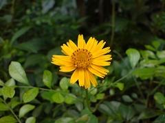 拍照較量諾基亞N73與索愛K810對比(8)