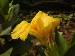 拍照較量諾基亞N73與索愛K810對比(8)