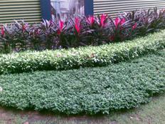 完美結(jié)合諾基亞商務(wù)滑蓋機(jī)E65評測(19)