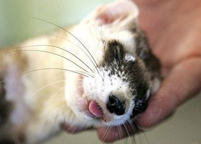 ��(d��ng)��ɐ�(��i)˯�˴�P(p��n)�c(di��n)