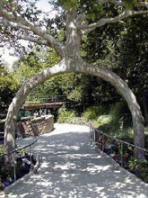 ��ֵط�����֘�(sh��)