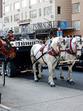 �����ġ������R܇(ch��)