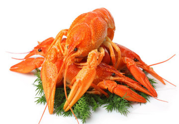 5056611_120335127000_2