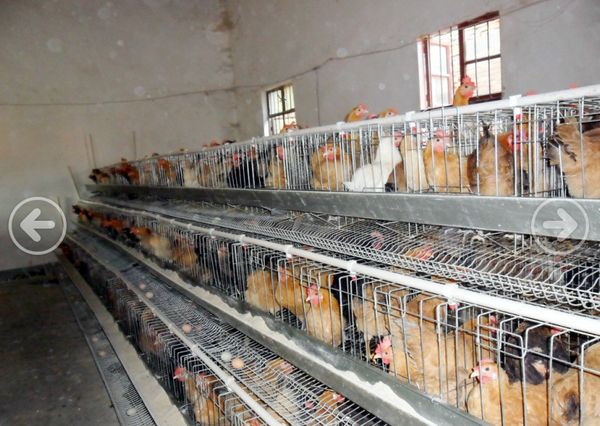 ɽ�|ʡ���ơ��˵��������ף����uҪ���]�u����