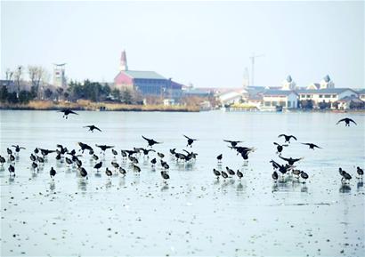 ���u�ɝ�����xɽ�|���� ��e����10�f���