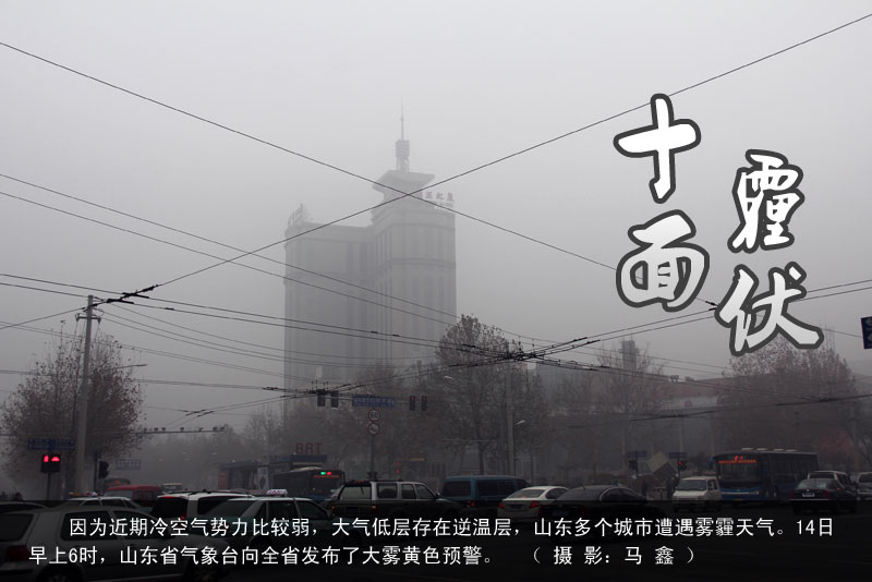 ʮ������