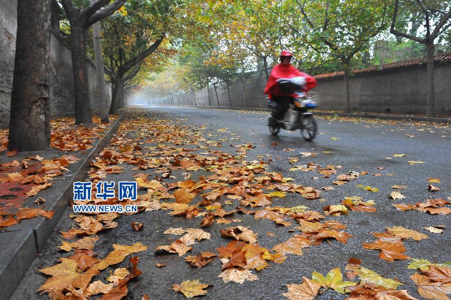 #�����(hu��)����1��ɽ�|���ֵ؅^(q��)ӭ��(l��i)���L(f��ng)���꽵�����