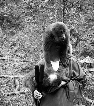 ������üɽ���v���❊���{��