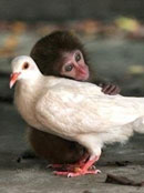 ������Ȼ���@ô������