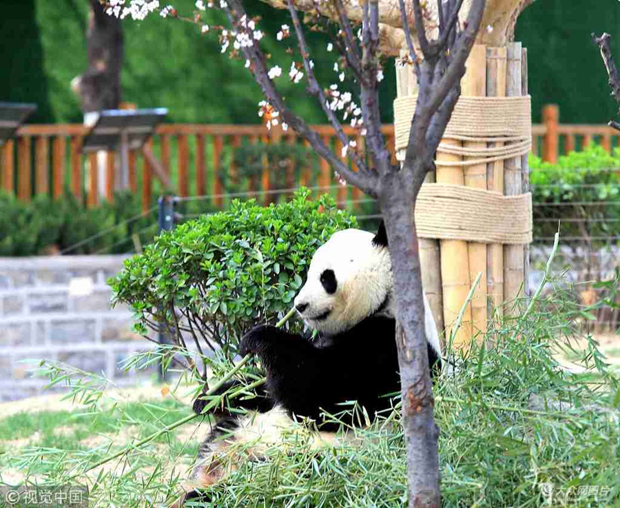 2018��3��27�գ�ɽ�|���ϴ�ů���_������@����؈�ڈ@��ɢ��������ʳ���ܴ�������ꖹ⡣