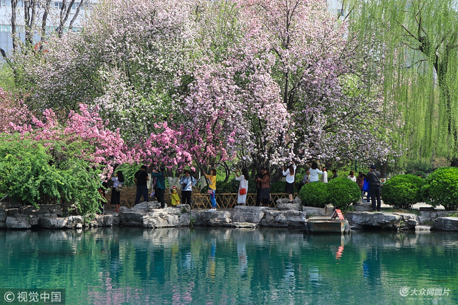 2018��3��27�գ���������̶���@�ĺ��Ļ��_����ʢ���������������ο�ǰ�����棬�˂������ó��֙C�����C��ӛ����@���õľ�ɫ��