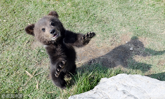 4��24�գ�ɽ�|�ĳǡ��ĳǡ�