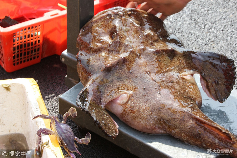 2018��4��25�գ����������uС�۝O�a�^��ُ(g��u)���r��5��1���ݝO�ڌ������������rԽ��Խ���Σ����񼊼��������u���O�۴a�^��ُ(g��u)��