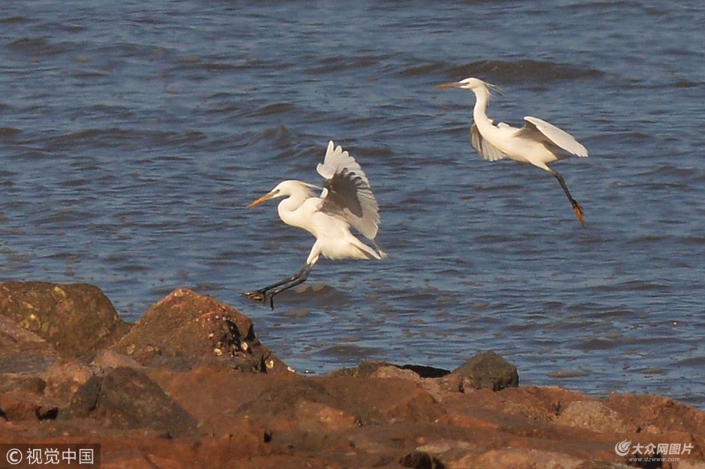 2018��5��3�գ���ֻ�lΣ��ϡ�B��S��������F�����u�غ����Ғʳ�������Bۺ��ߵ��Pע��