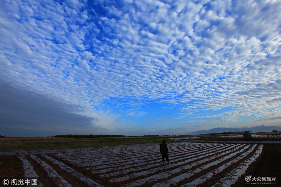 2018��5��21����ɽ�|�R�ʣ���ƽ�ؿh���´���ճ��F���~�[�ơ����^���峿��ɽ�|ʡ�R����ƽ�ؿh���´��Ͽճ��F�~�[�ƾ��^������Ʋ����{�����Ұ��ӳ�r�£�����������