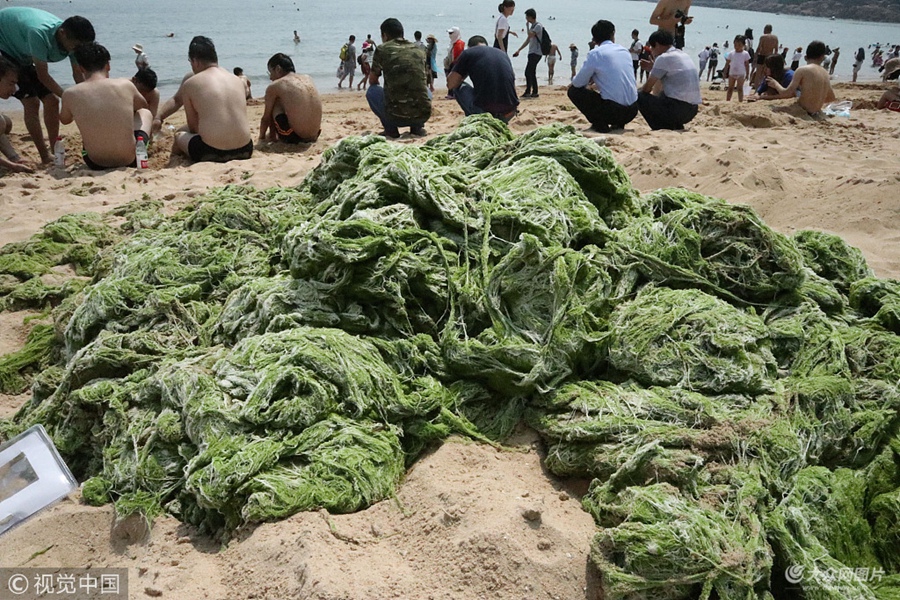 2018��6��19�գ����u�����غ�һ���_ʼ���F���ǝG̦�����u�����P���T�M���������r���G̦�M������������޶ȴ_�����պ���������