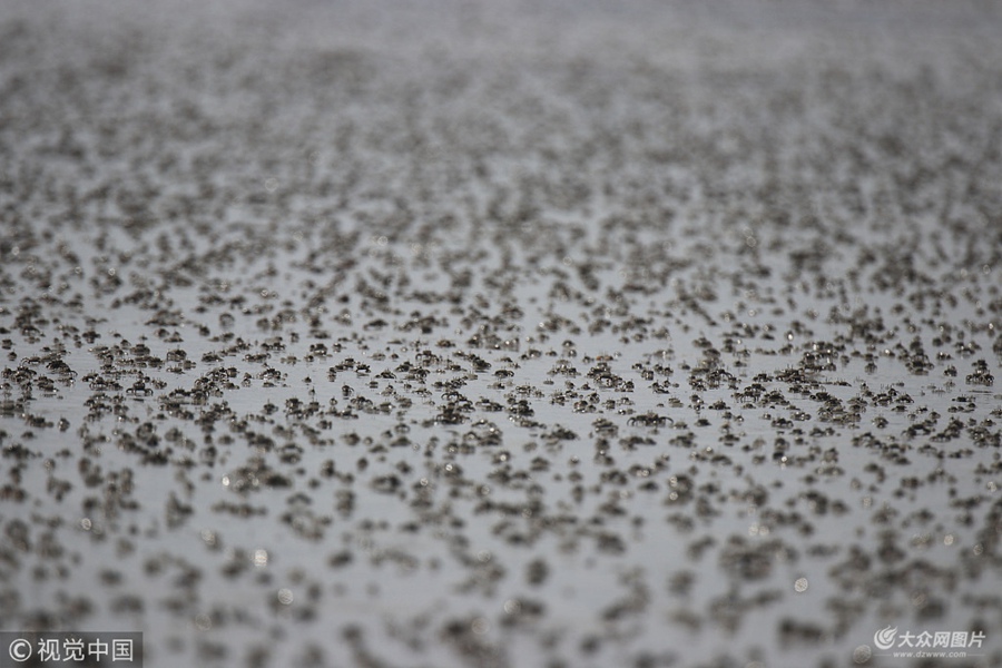 2018��7��16�գ����u������С�з�����z�ݞ���ͿҒʳ��