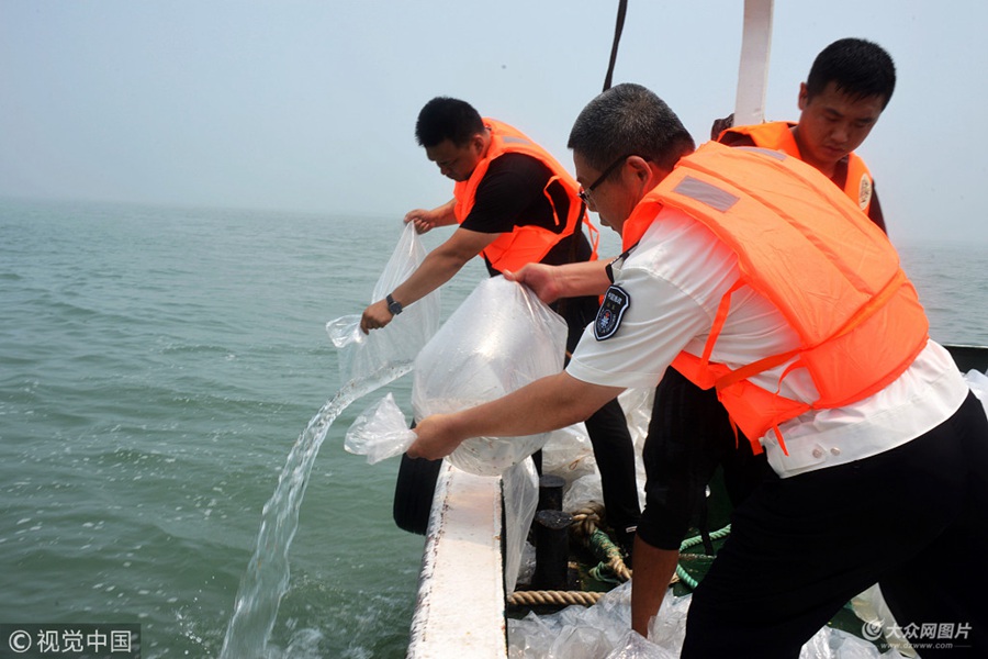 2018��7��26�գ����u�������^���S�����ֺ��򲥷N����\�~��50���fֻ��