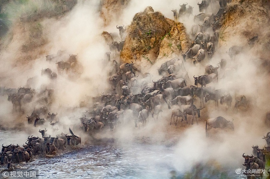 2018��8��15��Ӎ�����w�Ĕz�r�g��Ԕ�����zӰ���ڷ��޲�׽����һ꠽�8�fţ���܊�ɺ��w��ĉ��^һĻ��