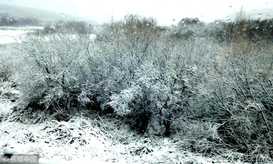 2018��10��15�գ��������ںӽ��½��׈�ѩ��