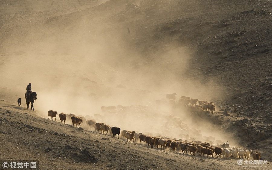 2018��10��14�����½������h���_���������s��ţ���������Rƥ����ɽԽ�ӡ���Խ��ڣ����ļ������w���＾������