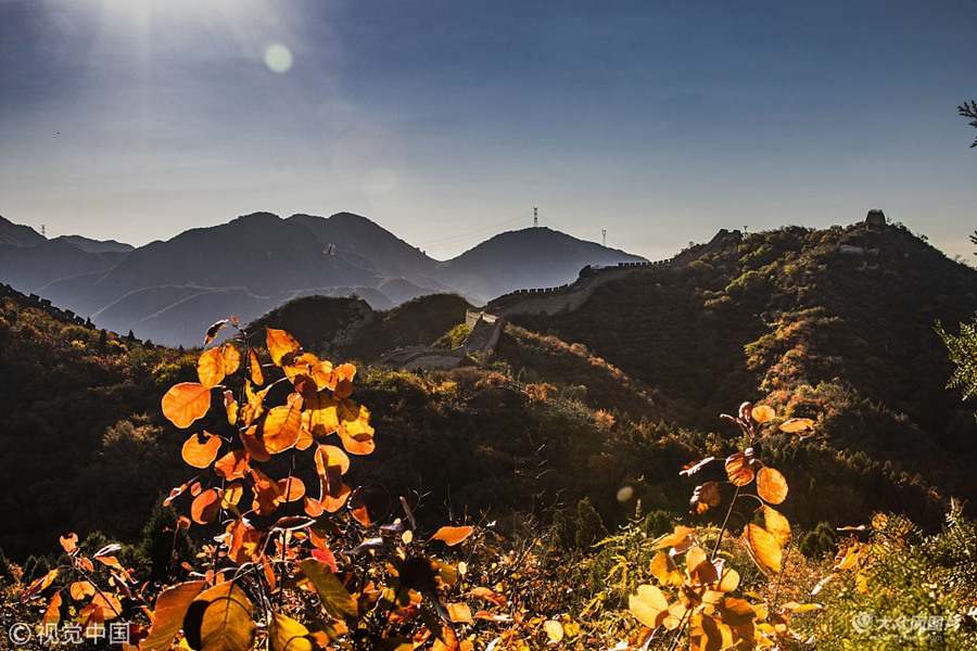 2018��10��18�����������������_(d��)�X����ɭ�ֹ��@�t�~�X������r(sh��)��(ji��)�t�~�Mɽ�£��M�@�����ﾰ��