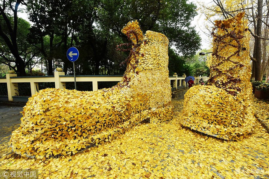 2018��12��4�գ����ݣ�һ�p���͡�ƤЬ��������^��ȫ�����M�����y���~�M�ɵġ��S��ס�����������·�^�����Ŀ�⡣