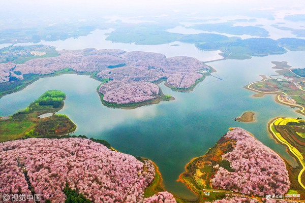 2019��3��19�գ��F�ݰ�혣��F���^ƽ���r���ѻ��@���f���ѻ�ʢ�_ŭ�š��ѻ�ʢ�_���Ѝu�Z�ʬF�ɾ����^��