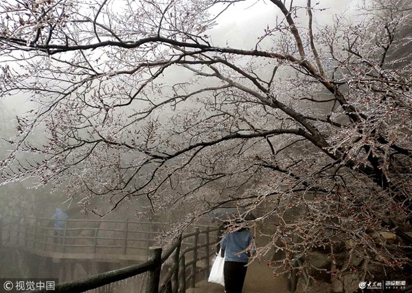 �R����ɽ�F�����±���