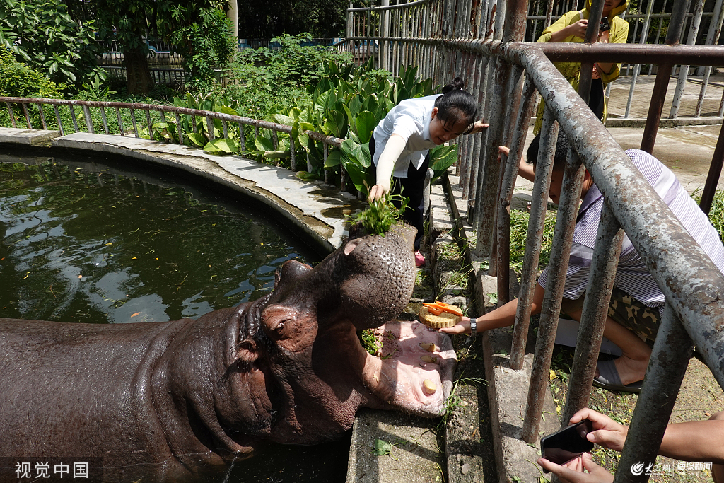 �ό����������������^�e�ӡ����﹝��