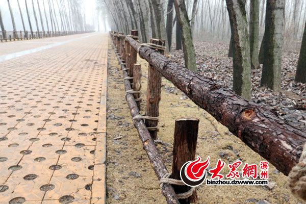 �I�������������_(k��i)�I(y��) ���^�p���_(t��i)����ǧ�����ŸG