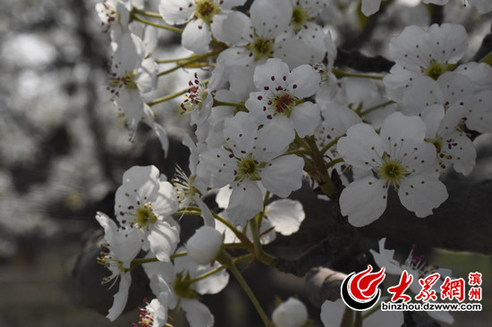 ��ſh��28���滨���y������������4��7���_Ļ