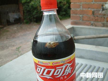 未開封可口可樂中漂有異物消費者嚇了一跳