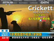 5�q�к����☌��2�q����