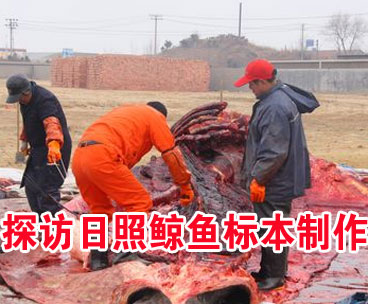 ��(d��)��ҕ�l��̽�L�����L�~��(bi��o)������