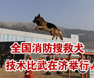 ȫ��(gu��)�����Ѿ�Ȯ���g(sh��)�����ڝ�(j��)�e��