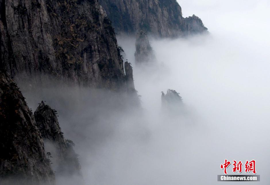 2��4�գ����������� �ܱ�����՚�Ӱ푣������Sɽ�L(f��ng)���^(q��)��ֹ�D(zhu��n)ꎣ����F(xi��n)���R���׈����^���˵��ƺ���ɫ��������l(f��) ��Ҳ�V�� �z.jpg