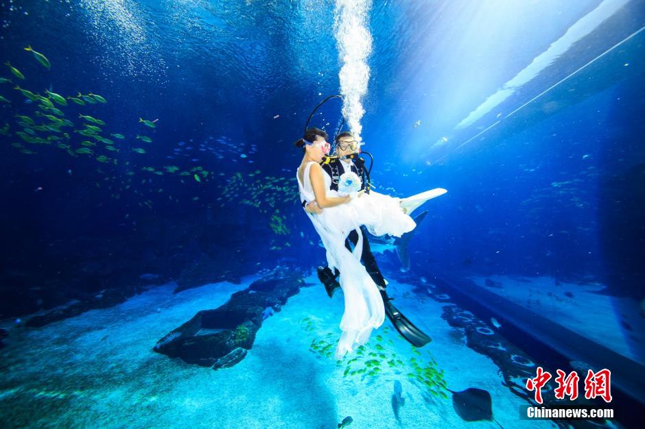 8��14�գ���������������}���@���麣�L(zh��ng)¡��������(gu��)��һ��(du��)���L���Y(ji��)���������ګ@��5�(xi��ng)����˹����o(j��)䛵��L���^���e����һ��(ch��ng)�e�_����ĺ��׻�Y��