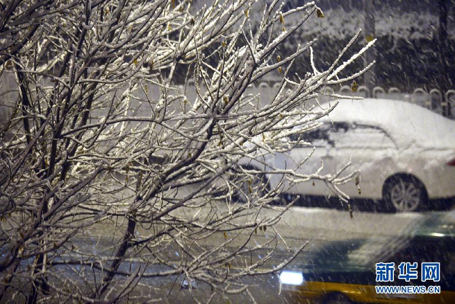 �����(hu��)����3����ҹϲѩ