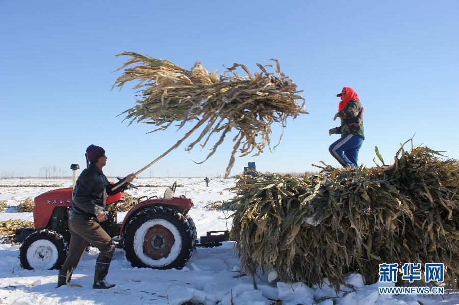 ����(j��ng)��(j��)����1����(n��i)�ɹţ�ѩ�����a(ch��n)�Ծ�